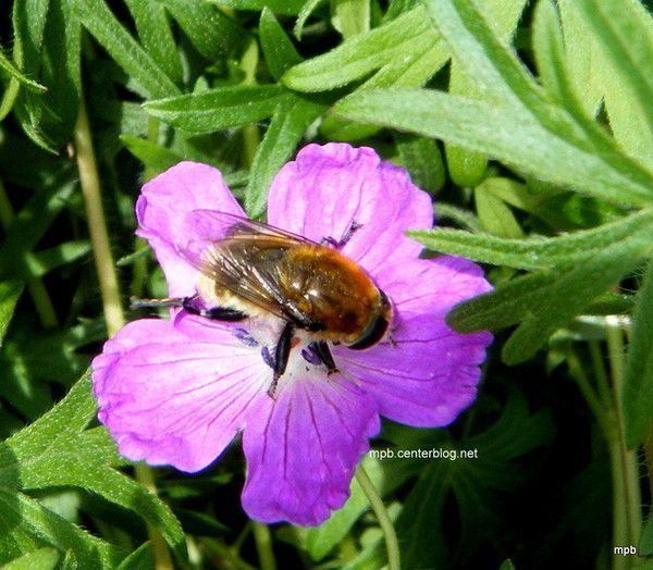 Aux nuances d'exigeances