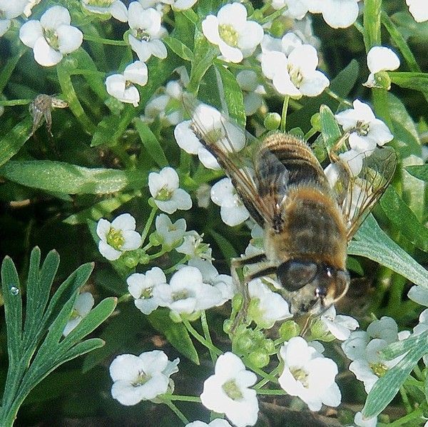 Textes,photo, Auteur mpb.centerblog.net