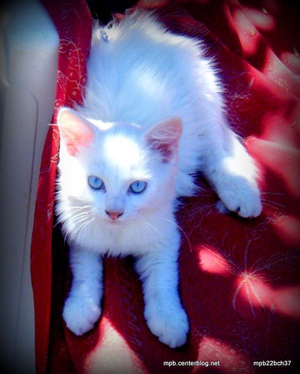 Du bleu dans ses yeux