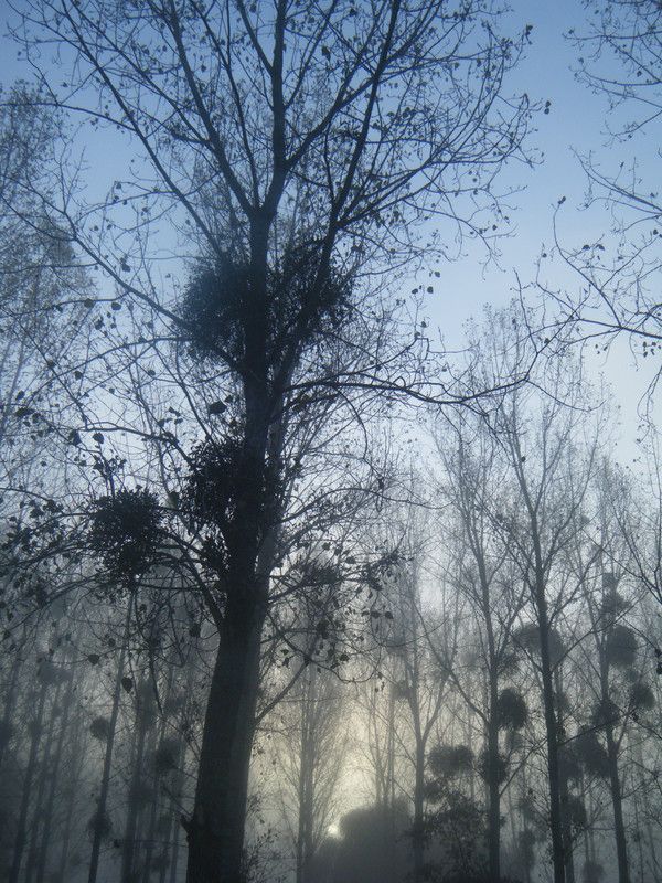 Tous prisonniers de quelque chose