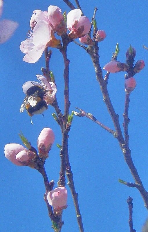 Envole toi aux rêves du possible